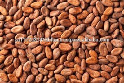 High Grade Sun Dried Cocoa Beans For Sale Now